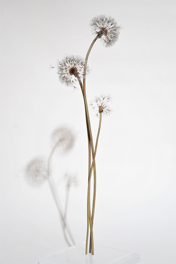 �Ȗъ����p�\�Q�\